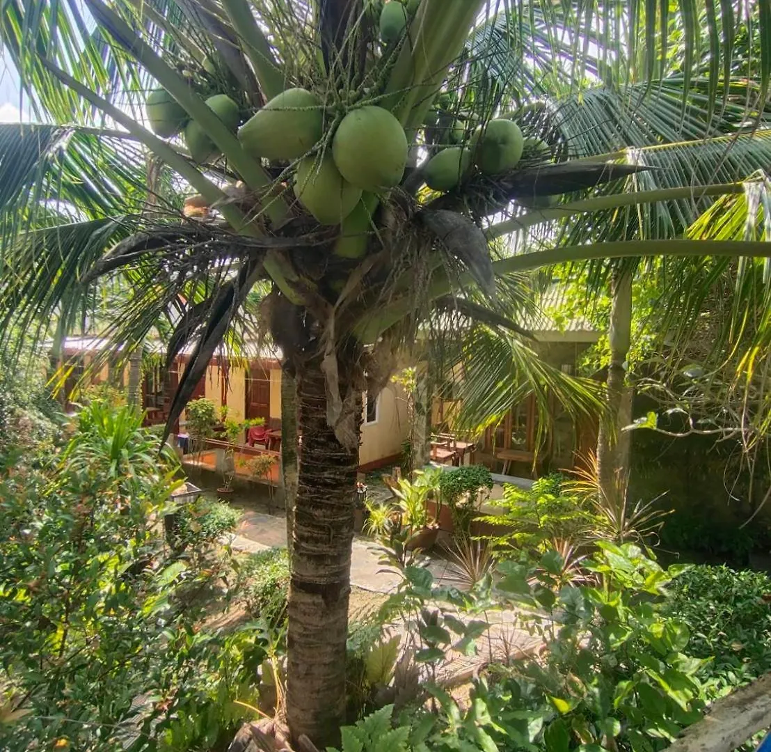 Lanta Riviera Beach Resort Ko Lanta Thaïlande